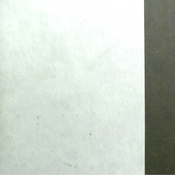 Vanderbilt Consuelo and Alva Amanda Stuart History Non-fiction Book Home HB - Picture 6 of 8